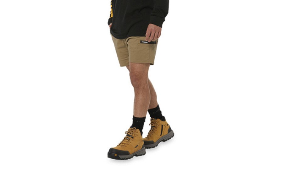 Kort Hale Kort Khaki Larve