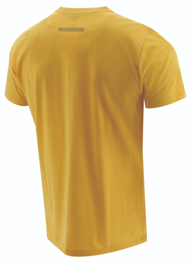 Work Hec Tee Gul Larve