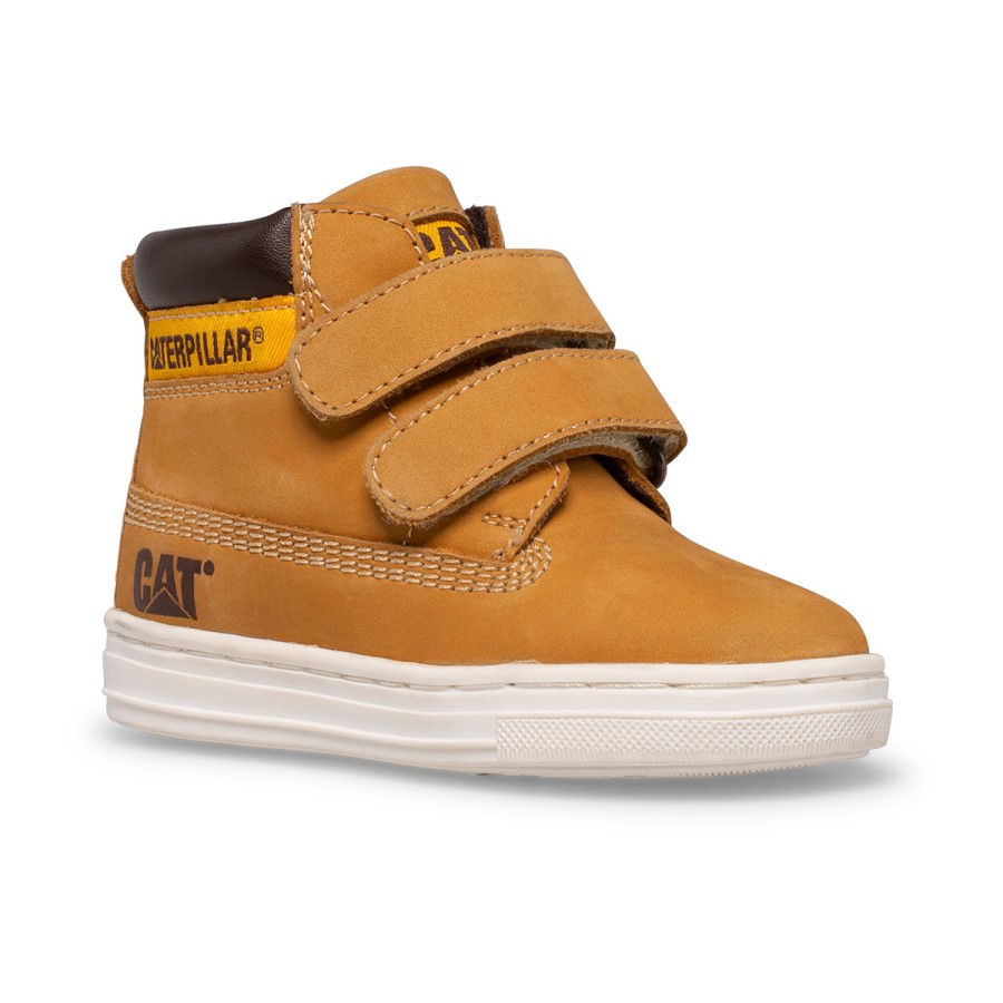 Colson Jr Kamel Larve