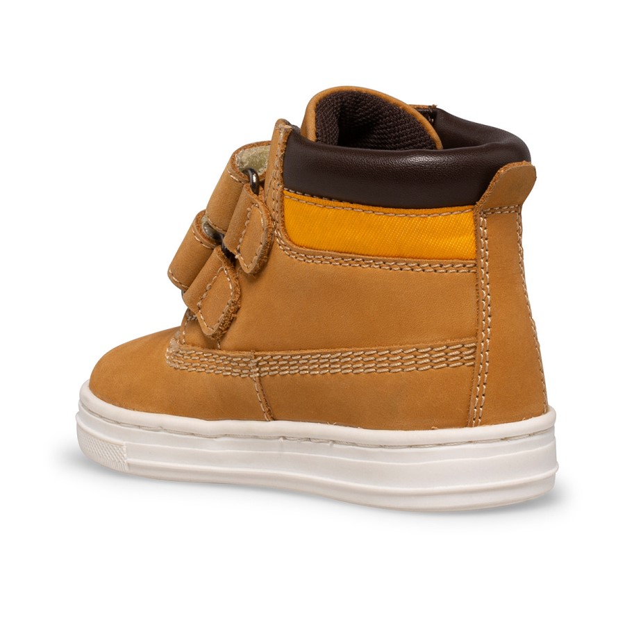 Colson Jr Kamel Larve