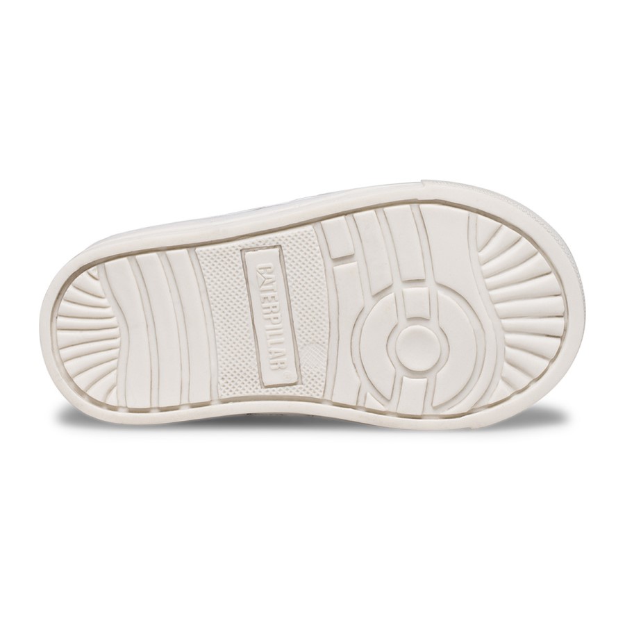 Colson Jr Kamel Larve