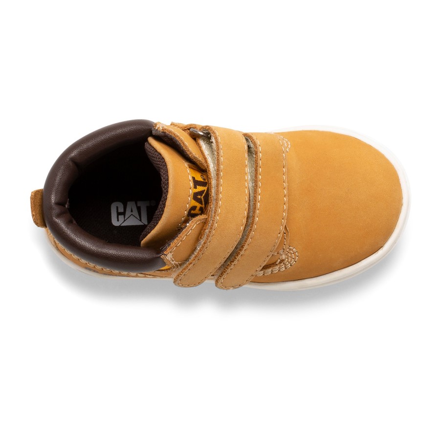 Colson Jr Kamel Larve