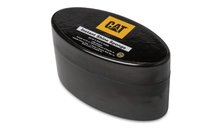 Umiddelbar Glans Svamp Larve